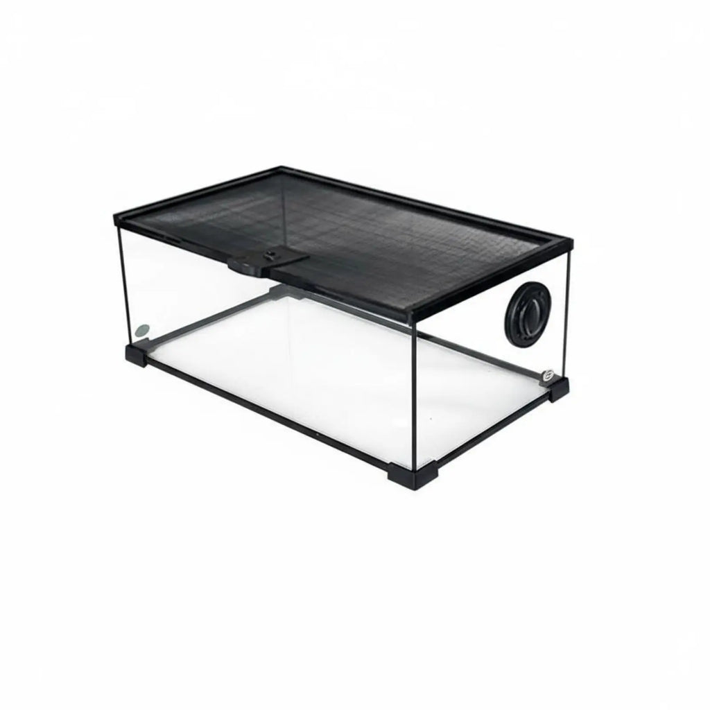 Terrarium en verre empilable pour reptiles avec couvercle grillagé