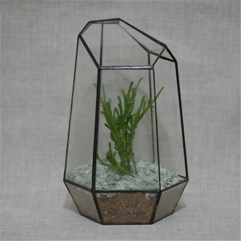 Terrarium quartz en verre pour plantes et micro-paysages