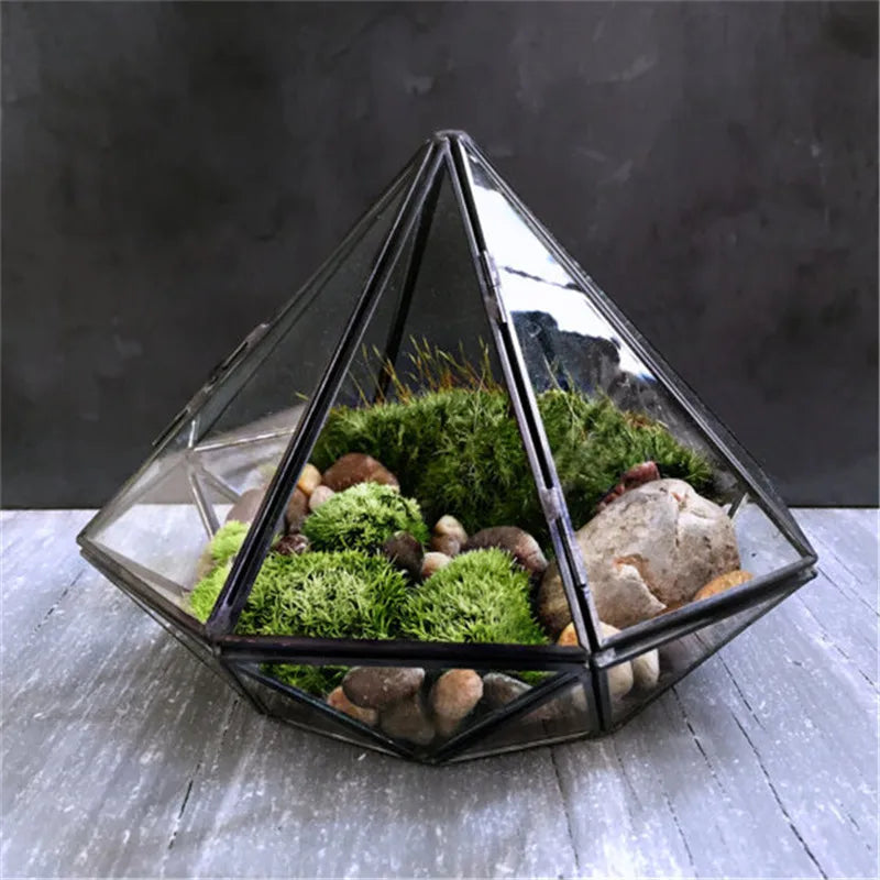 Terrarium diamant en verre noir pour mousse et micro-paysages