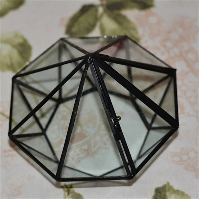 Terrarium diamant en verre noir pour mousse et micro-paysages