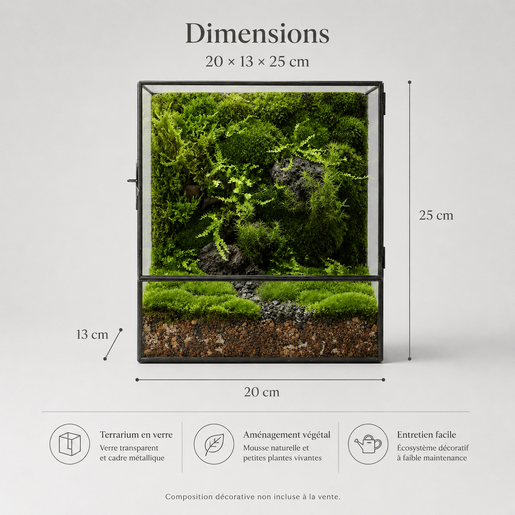 Terrarium cube en verre 20 × 13 × 25 cm avec porte