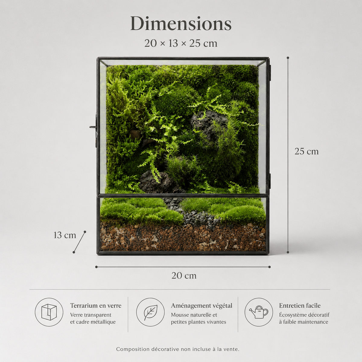 Terrarium cube en verre 20 × 13 × 25 cm avec porte