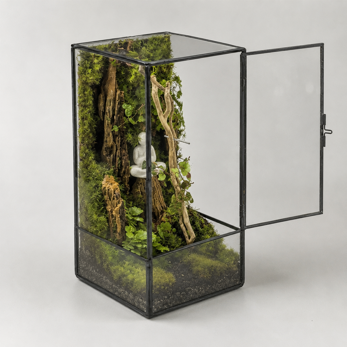 Terrarium carré en verre 11 × 11 × 21,5 cm pour mousse et micro-paysages