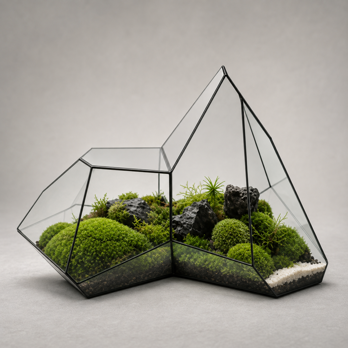 Terrarium géométrique en verre pour mousse et micro-paysages