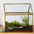 Terrarium géométrique en verre teinté fait main