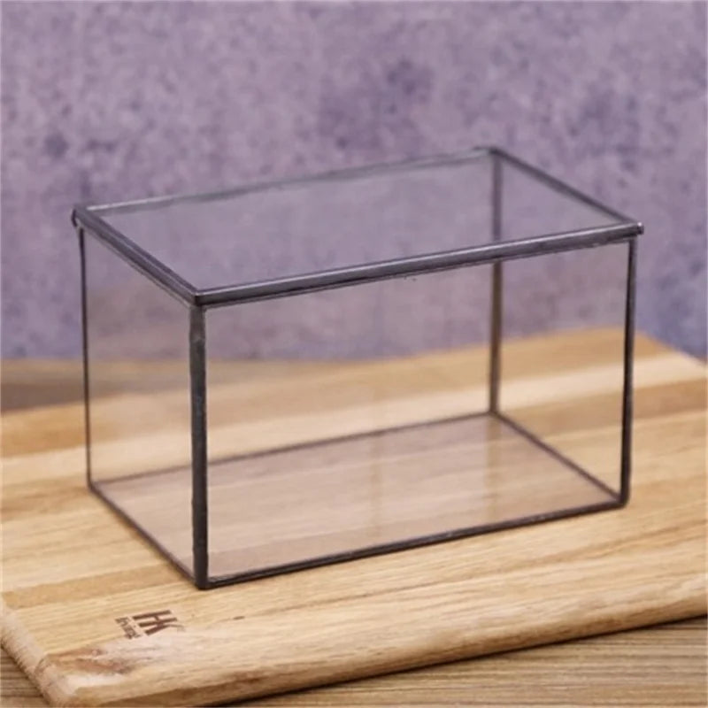 Terrarium cuboïde en verre pour micro-paysages