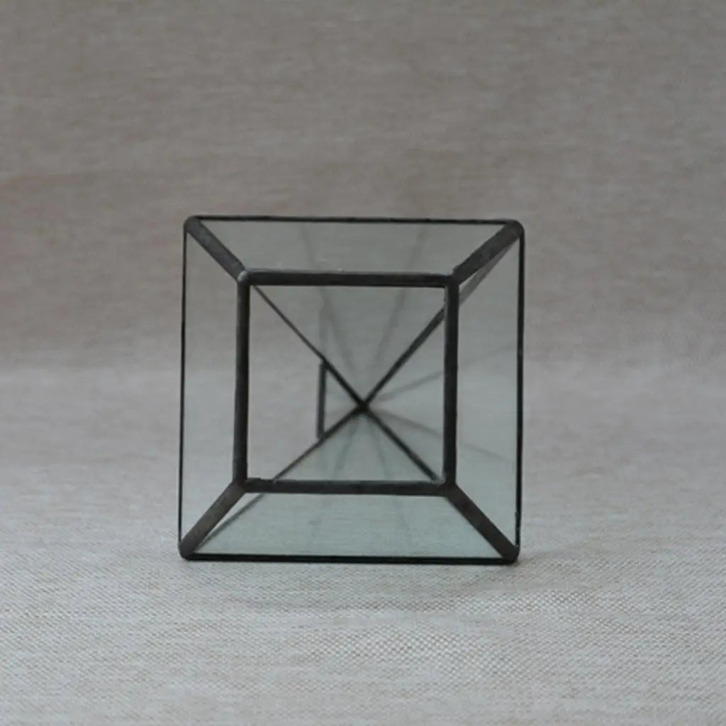 Terrarium pyramide en verre avec cadre métal noir