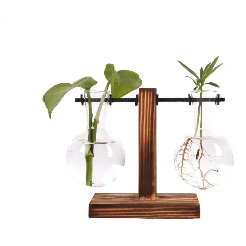 Vase terrarium hydroponique en verre avec support bois
