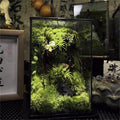 Terrarium géométrique en verre avec porte pour plantes