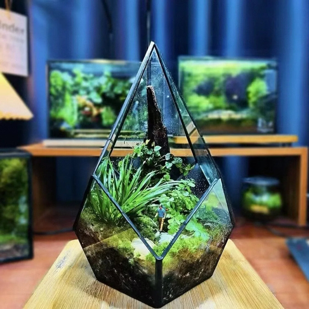 Terrarium diamant en verre pour plantes et succulentes