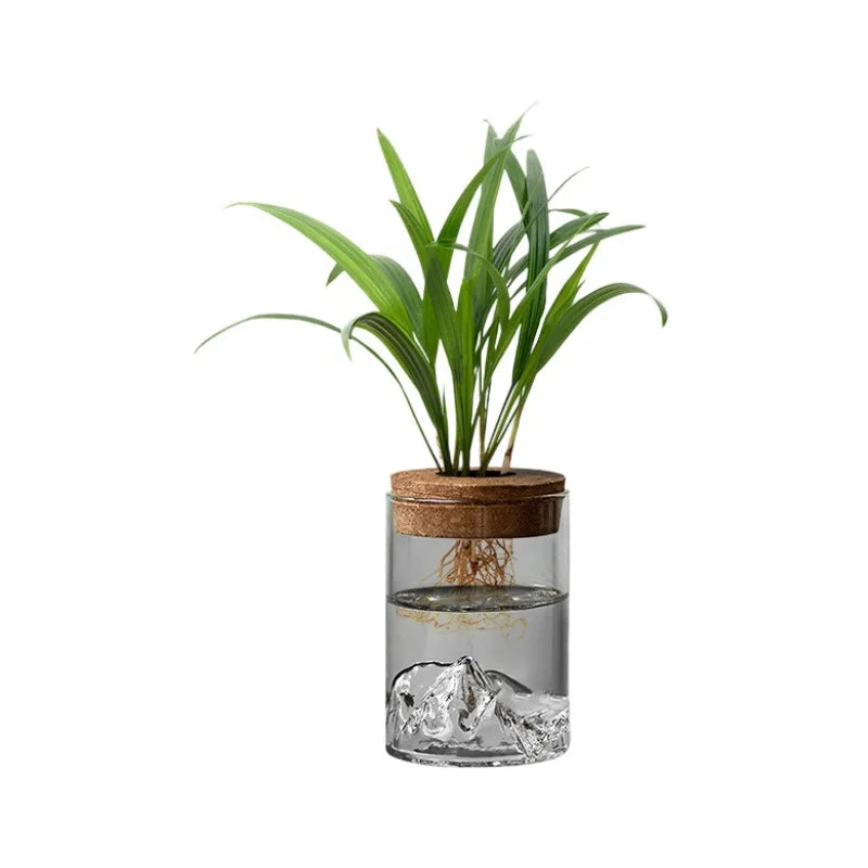 Vase bouteille en verre hydroponique pour plantes d’intérieur