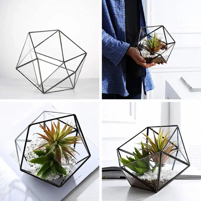 Terrarium géométrique en verre noir pour plantes et décoration