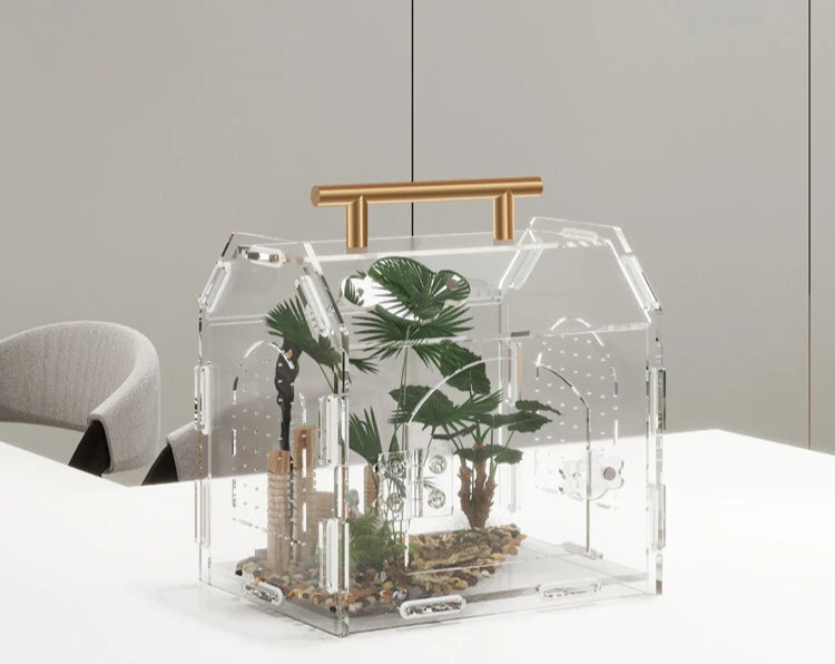 Terrarium portable en acrylique pour petits reptiles et insectes