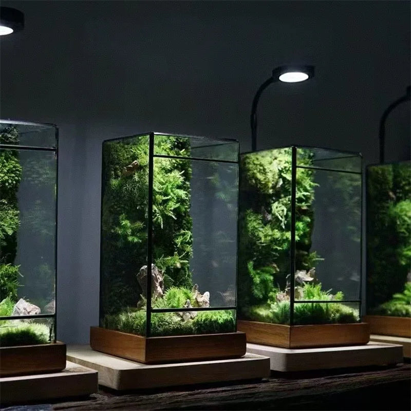 Terrarium géométrique en verre 11 × 11 × 21,5 cm