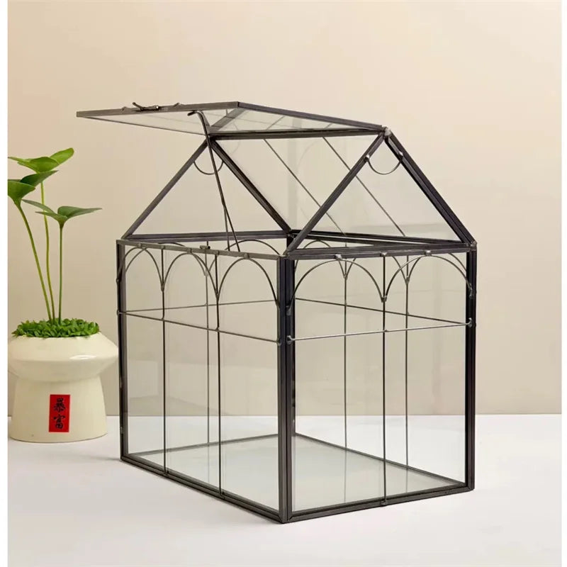 Terrarium en verre 18 × 12 × 22,5 cm pour mousse et micro-paysages