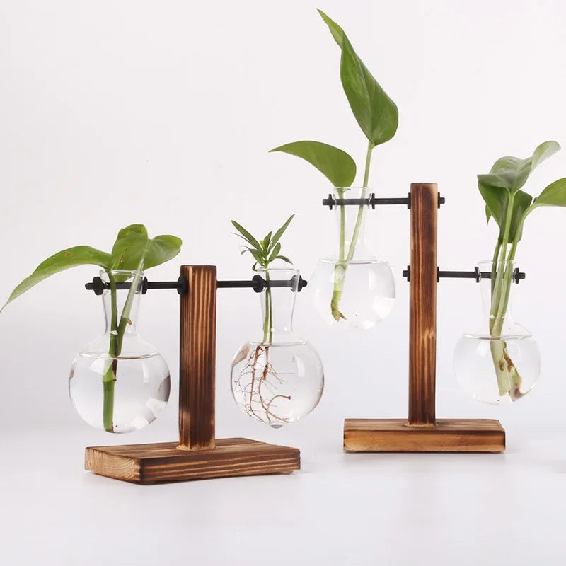 Vase terrarium hydroponique en verre avec support bois