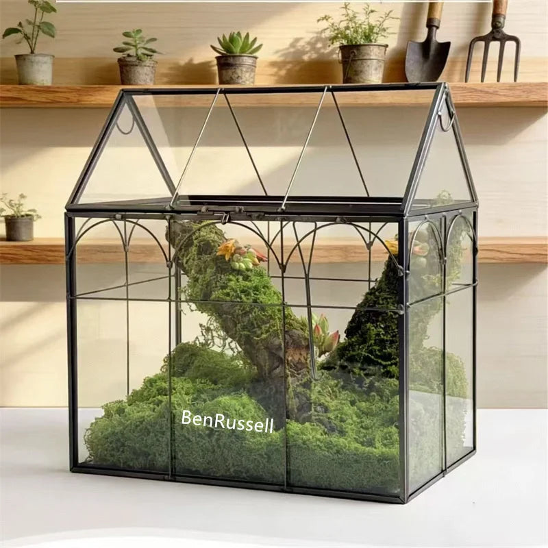 Terrarium en verre 18 × 12 × 22,5 cm pour mousse et micro-paysages