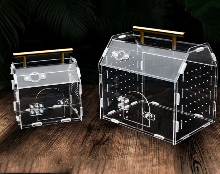 Terrarium portable en acrylique pour petits reptiles et insectes