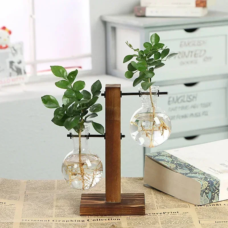 Vase terrarium hydroponique en verre avec support bois