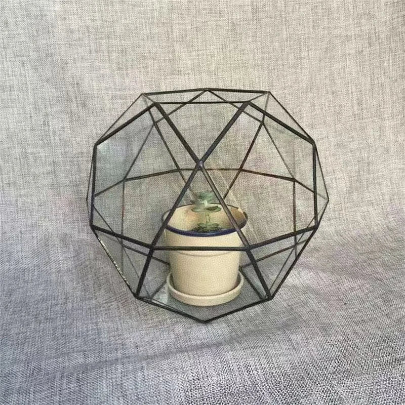 Terrarium dôme géodésique en verre pour plantes