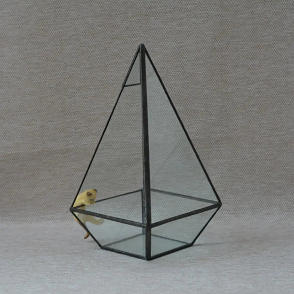 Terrarium pyramide en verre avec cadre métal noir
