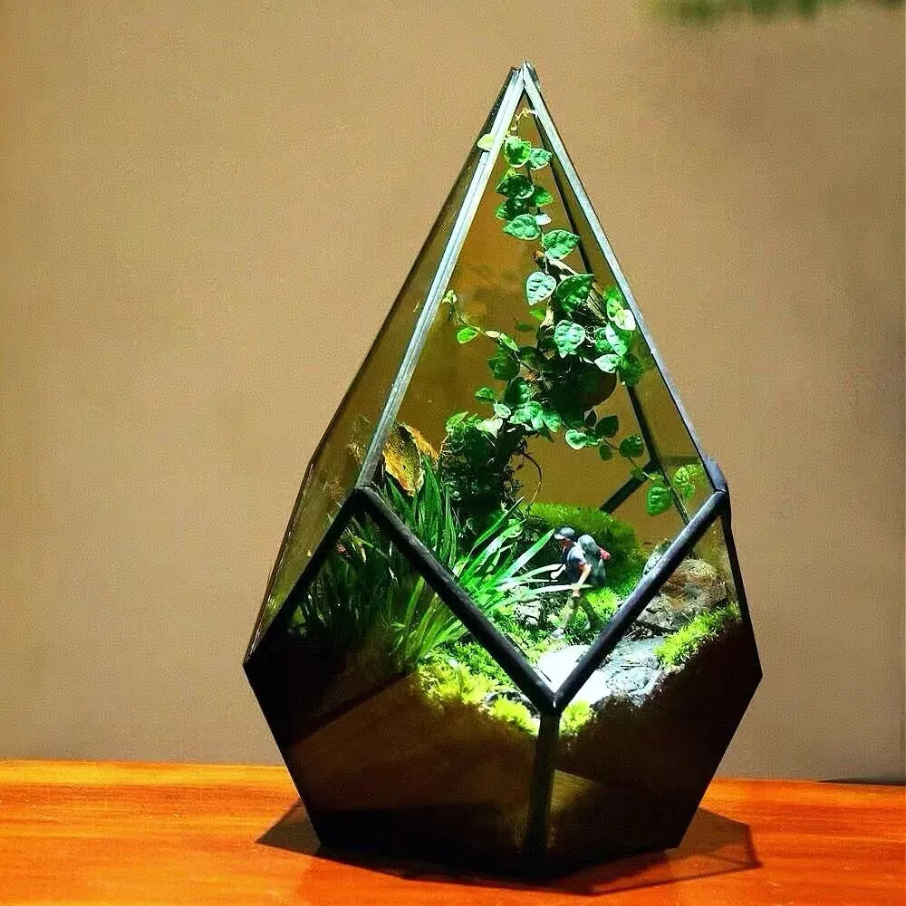 Terrarium diamant en verre pour plantes et succulentes