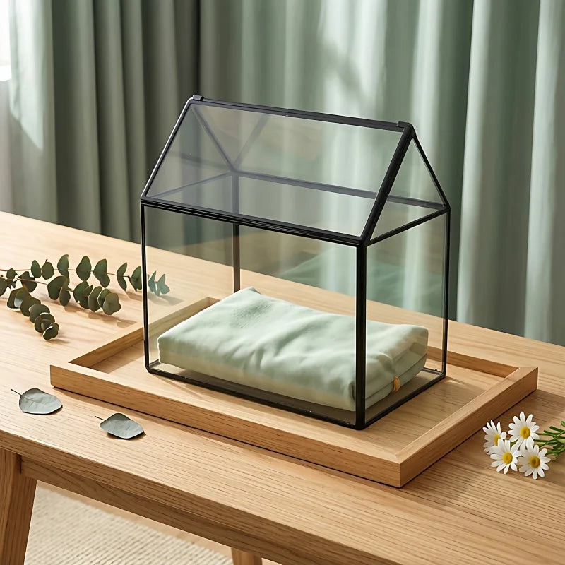 Terrarium rectangulaire en verre avec fenêtre pour plantes