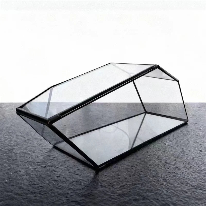 Terrarium géométrique en verre 32,5 cm pour mousse et micro-paysages