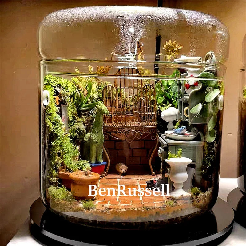 Terrarium bouteille en verre avec couvercle pour mousse et micro-paysages