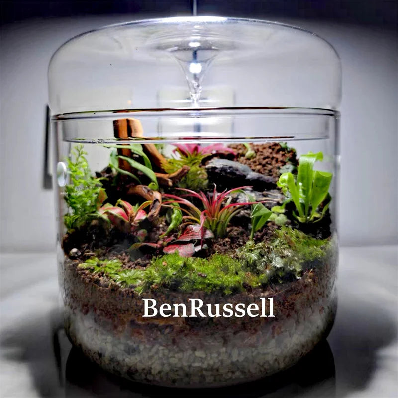 Terrarium bouteille en verre avec couvercle pour mousse et micro-paysages