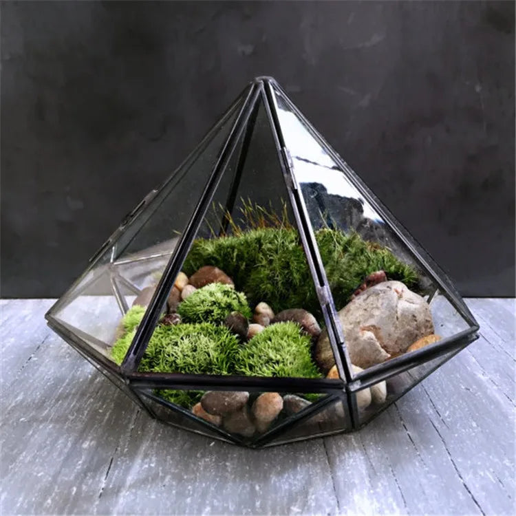 Terrarium diamant en verre noir pour mousse et micro-paysages
