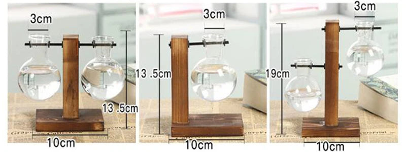 Vase terrarium hydroponique en verre avec support bois