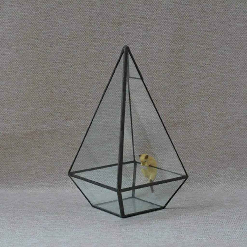 Terrarium pyramide en verre avec cadre métal noir