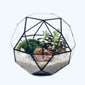 Terrarium dôme géodésique en verre pour plantes