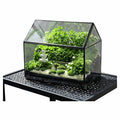 Terrarium rectangulaire en verre avec fenêtre pour plantes